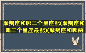 摩羯座和哪三个星座配(摩羯座和哪三个星座最配)(摩羯座和哪两个星座最配)