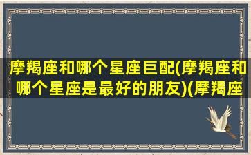 摩羯座和哪个星座巨配(摩羯座和哪个星座是最好的朋友)(摩羯座和哪个星座最搭)