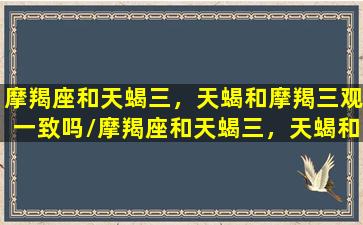 摩羯座和天蝎三，天蝎和摩羯三观一致吗/摩羯座和天蝎三，天蝎和摩羯三观一致吗-我的网站