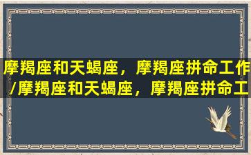 摩羯座和天蝎座，摩羯座拼命工作/摩羯座和天蝎座，摩羯座拼命工作-我的网站