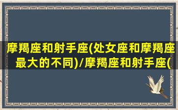 摩羯座和射手座(处女座和摩羯座最大的不同)/摩羯座和射手座(处女座和摩羯座最大的不同)-我的网站