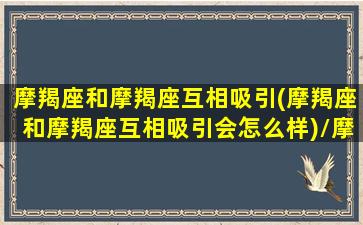 摩羯座和摩羯座互相吸引(摩羯座和摩羯座互相吸引会怎么样)/摩羯座和摩羯座互相吸引(摩羯座和摩羯座互相吸引会怎么样)-我的网站