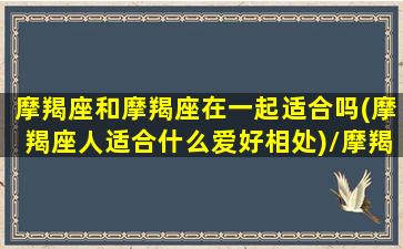 摩羯座和摩羯座在一起适合吗(摩羯座人适合什么爱好相处)/摩羯座和摩羯座在一起适合吗(摩羯座人适合什么爱好相处)-我的网站