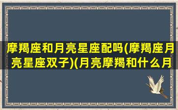 摩羯座和月亮星座配吗(摩羯座月亮星座双子)(月亮摩羯和什么月亮星座最配)