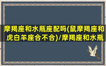 摩羯座和水瓶座配吗(鼠摩羯座和虎白羊座合不合)/摩羯座和水瓶座配吗(鼠摩羯座和虎白羊座合不合)-我的网站