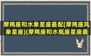 摩羯座和水象星座最配(摩羯座风象星座)(摩羯座和水瓶座星座最配)