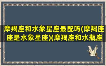 摩羯座和水象星座最配吗(摩羯座座是水象星座)(摩羯座和水瓶座匹配指数)