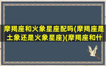 摩羯座和火象星座配吗(摩羯座是土象还是火象星座)(摩羯座和什么星座像)