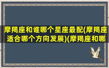 摩羯座和谁哪个星座最配(摩羯座适合哪个方向发展)(摩羯座和哪个星座比较配)