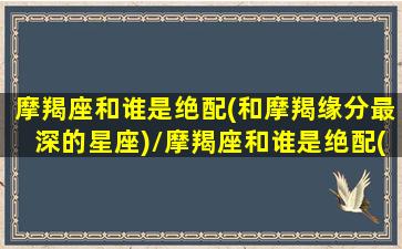 摩羯座和谁是绝配(和摩羯缘分最深的星座)/摩羯座和谁是绝配(和摩羯缘分最深的星座)-我的网站