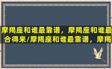 摩羯座和谁最靠谱，摩羯座和谁最合得来/摩羯座和谁最靠谱，摩羯座和谁最合得来-我的网站