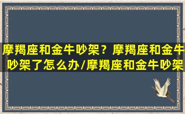 摩羯座和金牛吵架？摩羯座和金牛吵架了怎么办/摩羯座和金牛吵架？摩羯座和金牛吵架了怎么办-我的网站