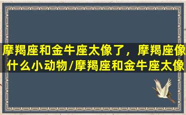 摩羯座和金牛座太像了，摩羯座像什么小动物/摩羯座和金牛座太像了，摩羯座像什么小动物-我的网站