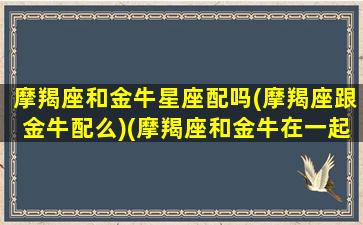 摩羯座和金牛星座配吗(摩羯座跟金牛配么)(摩羯座和金牛在一起合适吗)