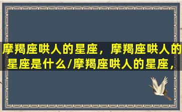 摩羯座哄人的星座，摩羯座哄人的星座是什么/摩羯座哄人的星座，摩羯座哄人的星座是什么-我的网站