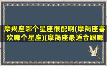 摩羯座哪个星座很配啊(摩羯座喜欢哪个星座)(摩羯座最适合跟哪个星座谈恋爱)