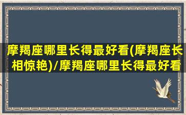 摩羯座哪里长得最好看(摩羯座长相惊艳)/摩羯座哪里长得最好看(摩羯座长相惊艳)-我的网站