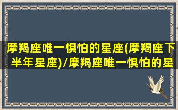 摩羯座唯一惧怕的星座(摩羯座下半年星座)/摩羯座唯一惧怕的星座(摩羯座下半年星座)-我的网站