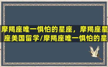 摩羯座唯一惧怕的星座，摩羯座星座美国留学/摩羯座唯一惧怕的星座，摩羯座星座美国留学-我的网站