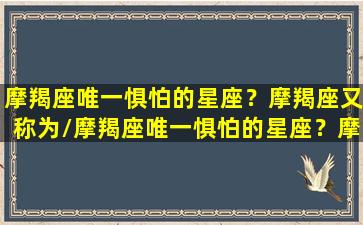 摩羯座唯一惧怕的星座？摩羯座又称为/摩羯座唯一惧怕的星座？摩羯座又称为-我的网站