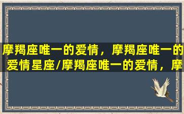 摩羯座唯一的爱情，摩羯座唯一的爱情星座/摩羯座唯一的爱情，摩羯座唯一的爱情星座-我的网站