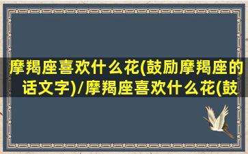 摩羯座喜欢什么花(鼓励摩羯座的话文字)/摩羯座喜欢什么花(鼓励摩羯座的话文字)-我的网站