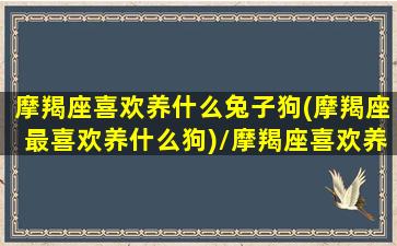 摩羯座喜欢养什么兔子狗(摩羯座最喜欢养什么狗)/摩羯座喜欢养什么兔子狗(摩羯座最喜欢养什么狗)-我的网站