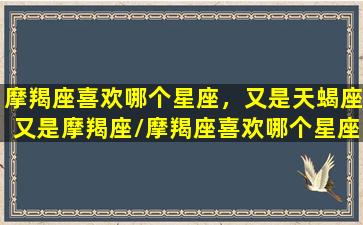 摩羯座喜欢哪个星座，又是天蝎座又是摩羯座/摩羯座喜欢哪个星座，又是天蝎座又是摩羯座-我的网站