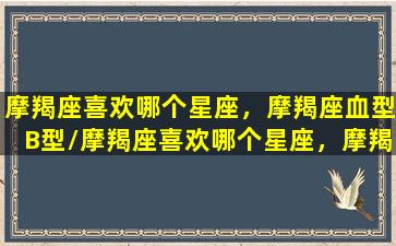 摩羯座喜欢哪个星座，摩羯座血型B型/摩羯座喜欢哪个星座，摩羯座血型B型-我的网站