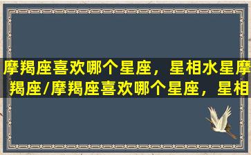 摩羯座喜欢哪个星座，星相水星摩羯座/摩羯座喜欢哪个星座，星相水星摩羯座-我的网站