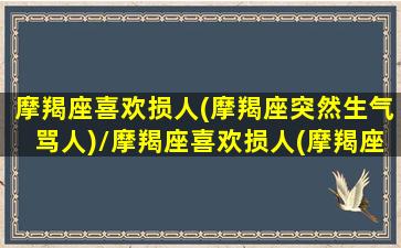 摩羯座喜欢损人(摩羯座突然生气骂人)/摩羯座喜欢损人(摩羯座突然生气骂人)-我的网站