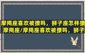 摩羯座喜欢被撩吗，狮子座怎样撩摩羯座/摩羯座喜欢被撩吗，狮子座怎样撩摩羯座-我的网站