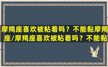 摩羯座喜欢被粘着吗？不能黏摩羯座/摩羯座喜欢被粘着吗？不能黏摩羯座-我的网站