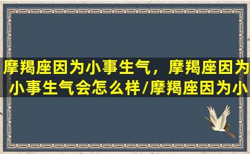 摩羯座因为小事生气，摩羯座因为小事生气会怎么样/摩羯座因为小事生气，摩羯座因为小事生气会怎么样-我的网站