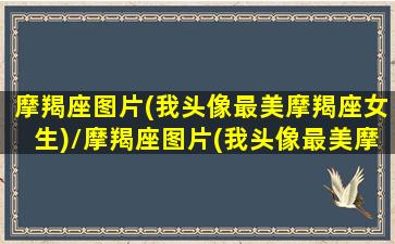 摩羯座图片(我头像最美摩羯座女生)/摩羯座图片(我头像最美摩羯座女生)-我的网站