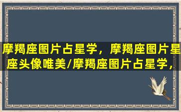 摩羯座图片占星学，摩羯座图片星座头像唯美/摩羯座图片占星学，摩羯座图片星座头像唯美-我的网站