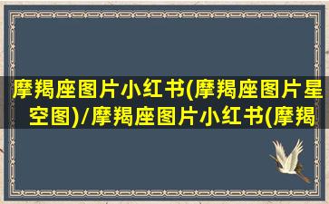 摩羯座图片小红书(摩羯座图片星空图)/摩羯座图片小红书(摩羯座图片星空图)-我的网站