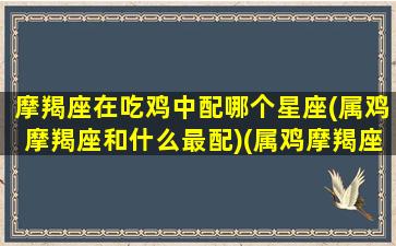 摩羯座在吃鸡中配哪个星座(属鸡摩羯座和什么最配)(属鸡摩羯座女生配什么星座)