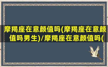 摩羯座在意颜值吗(摩羯座在意颜值吗男生)/摩羯座在意颜值吗(摩羯座在意颜值吗男生)-我的网站