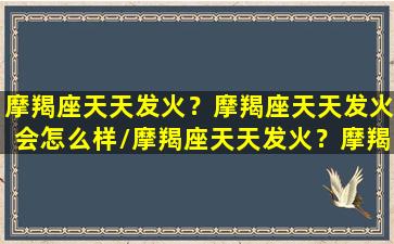 摩羯座天天发火？摩羯座天天发火会怎么样/摩羯座天天发火？摩羯座天天发火会怎么样-我的网站