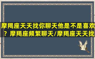 摩羯座天天找你聊天他是不是喜欢？摩羯座频繁聊天/摩羯座天天找你聊天他是不是喜欢？摩羯座频繁聊天-我的网站