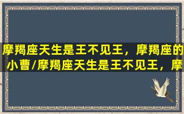 摩羯座天生是王不见王，摩羯座的小曹/摩羯座天生是王不见王，摩羯座的小曹-我的网站