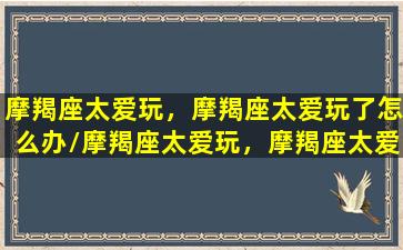 摩羯座太爱玩，摩羯座太爱玩了怎么办/摩羯座太爱玩，摩羯座太爱玩了怎么办-我的网站