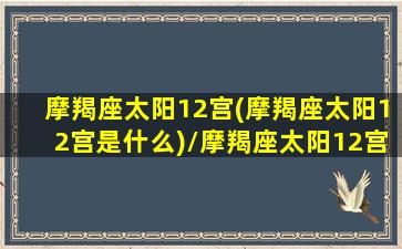 摩羯座太阳12宫(摩羯座太阳12宫是什么)/摩羯座太阳12宫(摩羯座太阳12宫是什么)-我的网站