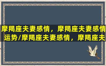 摩羯座夫妻感情，摩羯座夫妻感情运势/摩羯座夫妻感情，摩羯座夫妻感情运势-我的网站