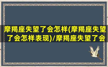 摩羯座失望了会怎样(摩羯座失望了会怎样表现)/摩羯座失望了会怎样(摩羯座失望了会怎样表现)-我的网站