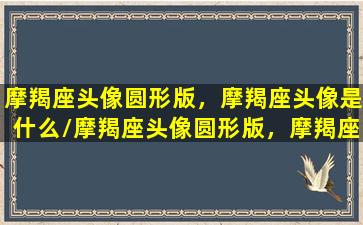 摩羯座头像圆形版，摩羯座头像是什么/摩羯座头像圆形版，摩羯座头像是什么-我的网站