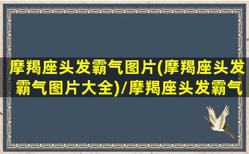 摩羯座头发霸气图片(摩羯座头发霸气图片大全)/摩羯座头发霸气图片(摩羯座头发霸气图片大全)-我的网站