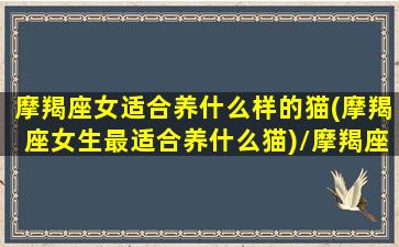 摩羯座女适合养什么样的猫(摩羯座女生最适合养什么猫)/摩羯座女适合养什么样的猫(摩羯座女生最适合养什么猫)-我的网站