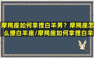 摩羯座如何拿捏白羊男？摩羯座怎么撩白羊座/摩羯座如何拿捏白羊男？摩羯座怎么撩白羊座-我的网站